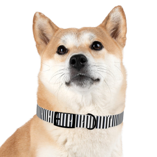 Stripe Dog Collar