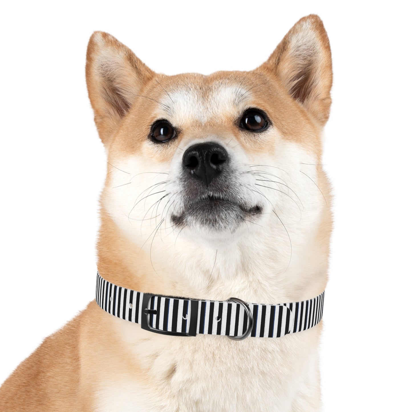 Stripe Dog Collar