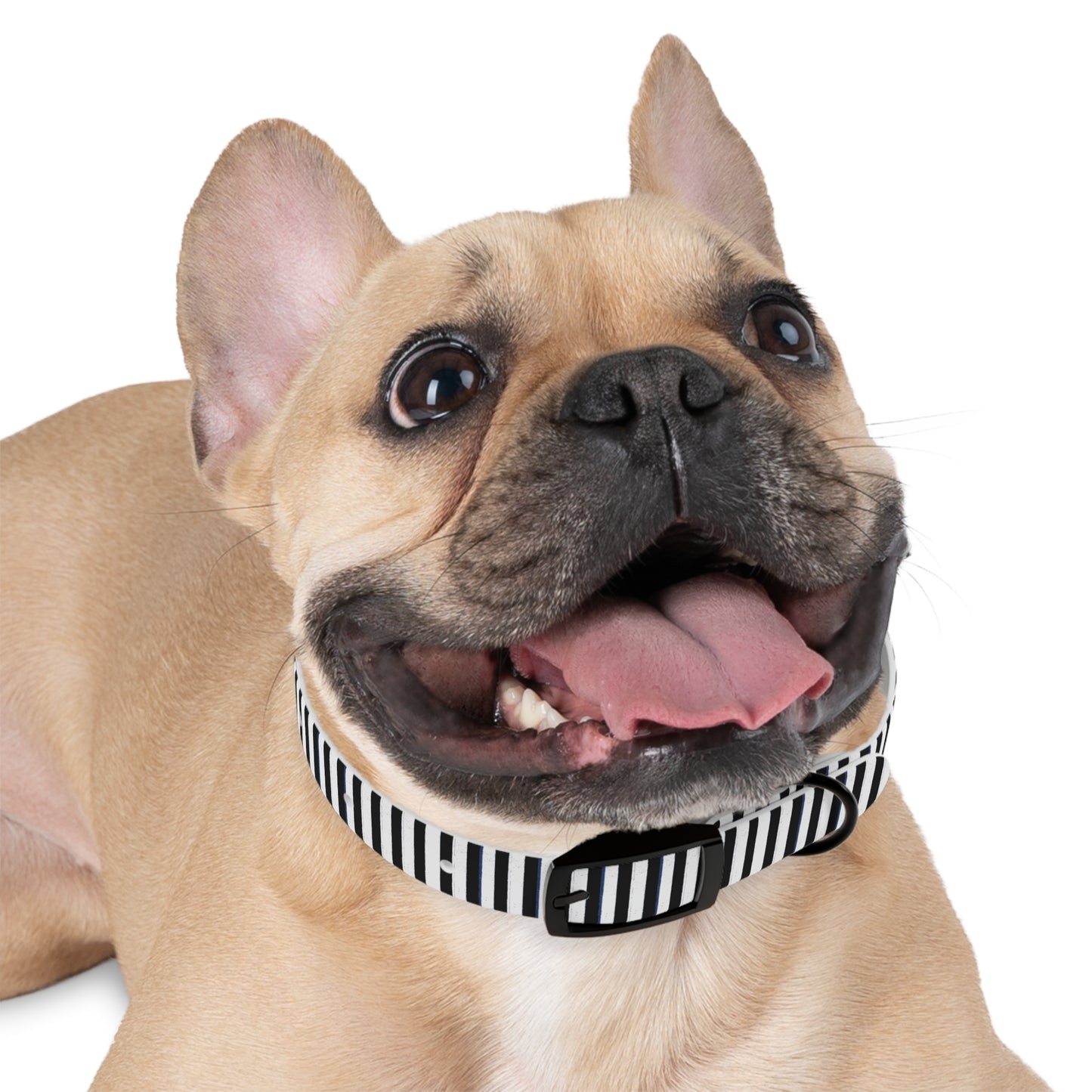 Stripe Dog Collar