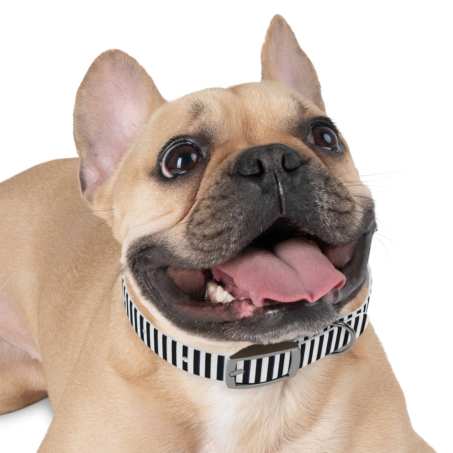 Stripe Dog Collar