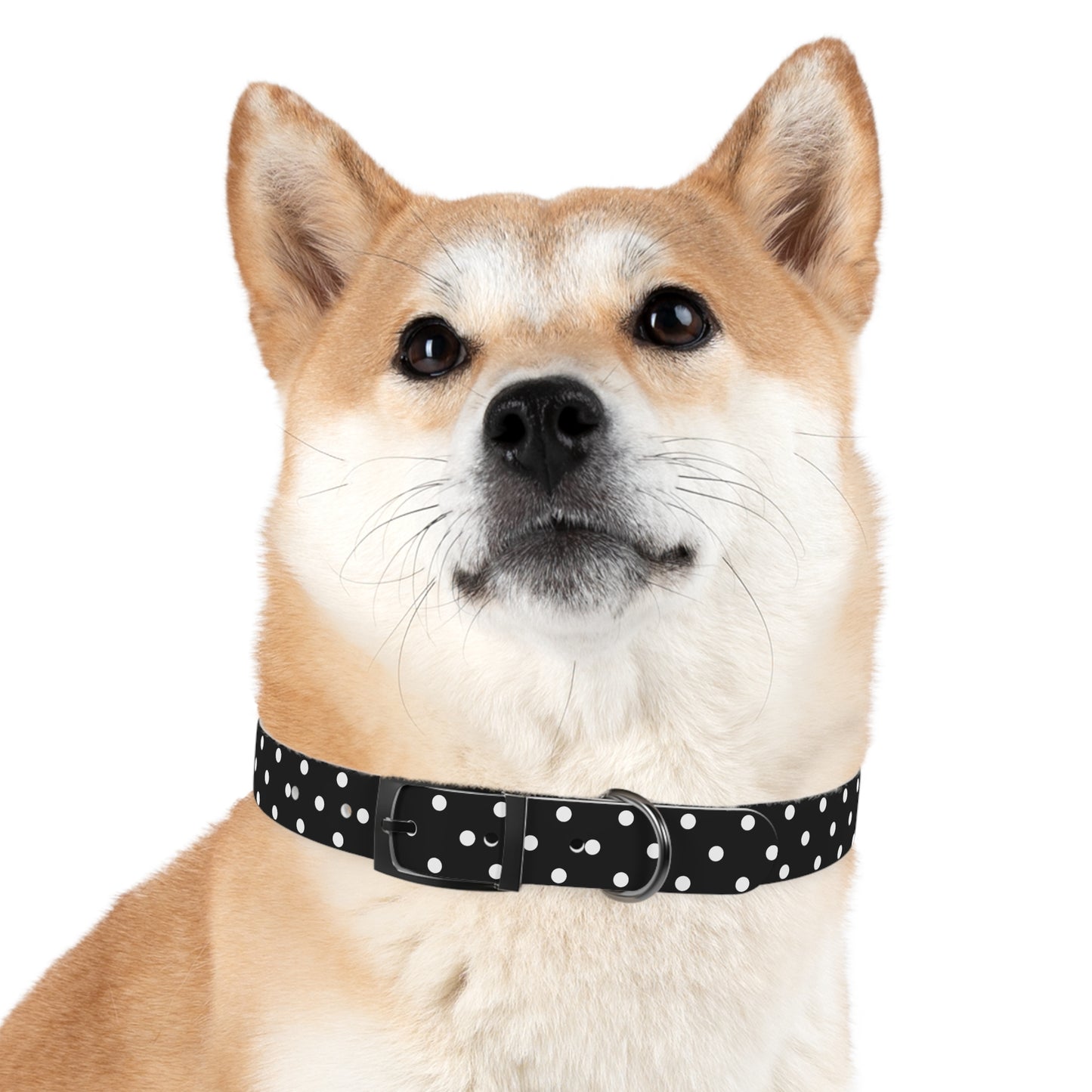 Polka Dot Pet Collar