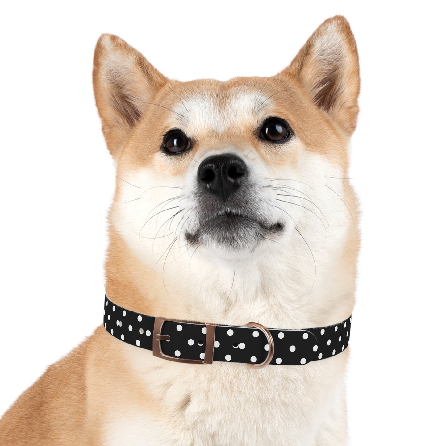 Polka Dot Pet Collar